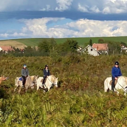 Horseback Riding Near Plitvice Lakes National Park in Croatia.
