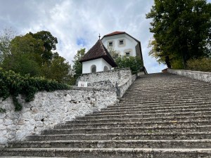 The daunting 99-steps leading from the dock where we left our "Pletna" to look around the grounds of The Pilgrimage Church of the Assumption of Mary on an island in Lake Bled in Slovenia